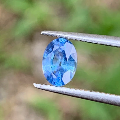 Blue Sapphire Oval 0.55 Ct Natural Loose Gemstone For Jewelry Making