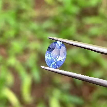 Blue Sapphire Oval 0.83 Ct Natural Loose Gemstone For Jewelry Making 💎✨