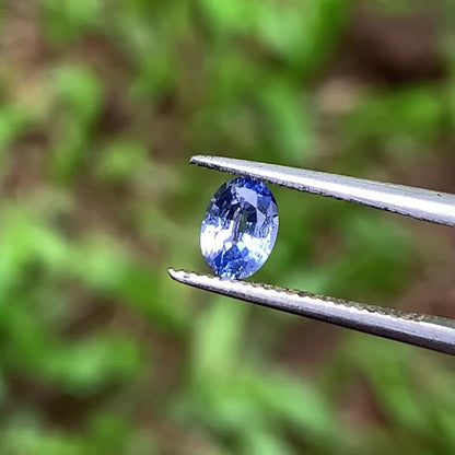 Blue Sapphire Oval 0.44 Ct Natural Loose Gemstone For Jewelry Making 💎✨