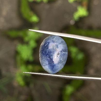 Blue Sapphire Oval Cabochon 11.18 Ct Natural Loose Gemstone 💎✨