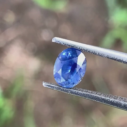 ✨ Blue Sapphire Oval 1.17 Ct Heated Only Natural Loose Gemstone For Jewelry Making 💎