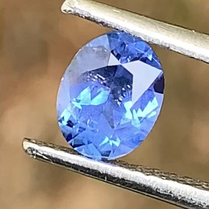 Blue Sapphire Oval 0.80 Ct Natural Heated Only Loose Gemstone from Sri Lanka