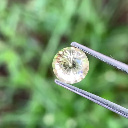 Yellow Sapphire 6.1 mm Round Heated Only 1.25 Ct Natural Loose Gemstone