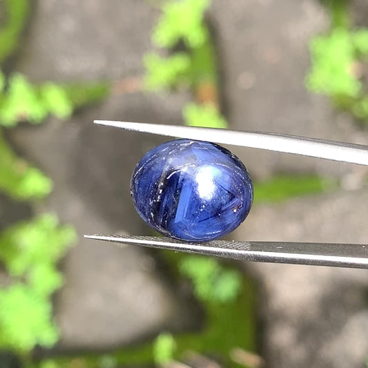 Deep Blue Sapphire Oval Cabochon 9.80 Ct Natural Loose Gemstone 💎✨