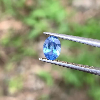 Blue Sapphire Oval 0.55 Ct Natural Loose Gemstone For Jewelry Making