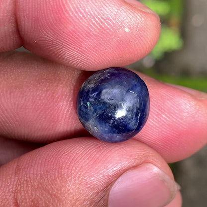Deep Blue Sapphire Oval Cabochon 13.19 Ct Natural Loose Gemstone 💎✨