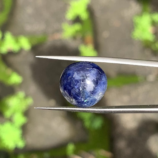 Deep Blue Sapphire Oval Cabochon 13.19 Ct Natural Loose Gemstone 💎✨
