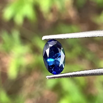 Blue Sapphire Oval 0.76 Ct Heated Only Natural Loose Gemstone For Jewelry Making