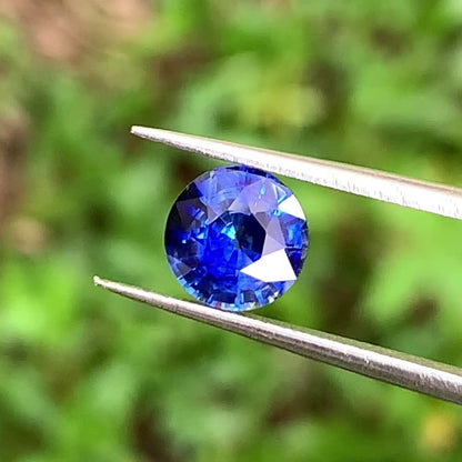 Blue Sapphire 7 mm Round Heated Only 1.55 Ct Natural Loose Gemstone for Jewelry Making