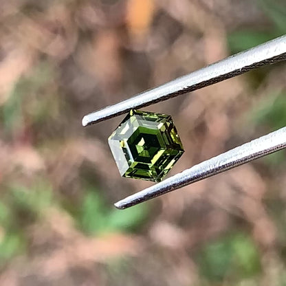 Green Zircon Step Cut Hexagon 1.16 Ct Natural Loose Gemstone From Sri Lanka