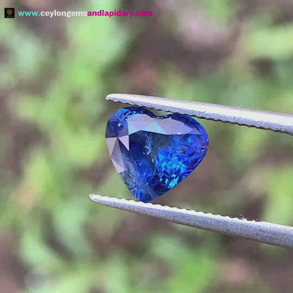 Blue Sapphire Heart Heated Only 1.57 Ct Natural Loose Gemstone 💎✨