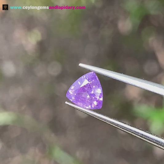 Purple Sapphire Trillion Heated Only 0.59 Ct Natural Loose Gemstone 💎✨