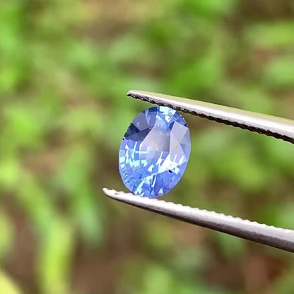 Blue Sapphire Oval 0.83 Ct Natural Loose Gemstone For Jewelry Making