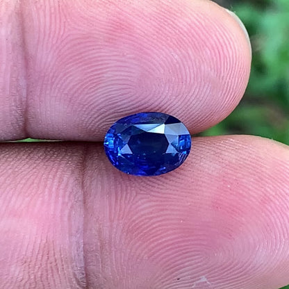 Blue Sapphire Oval Heated Only 3.05 Ct Natural Loose Gemstone for Jewelry Making