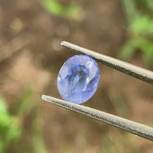 ✨ Blue Sapphire - Oval Cut, 1.77 Ct Heated Only 💎