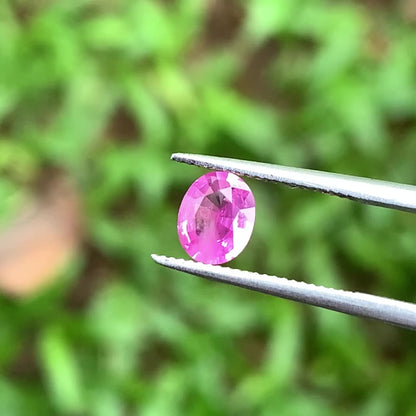 Pink Sapphire Oval 0.59 Ct Natural Loose Gemstone For Jewelry Making