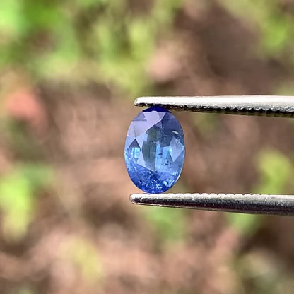 Blue Sapphire Oval 0.69 Ct Heated Only Natural Loose Gemstone For Jewelry Making