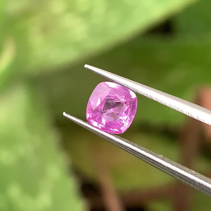 Purplish Pink Sapphire Cushion 0.63 Ct Heated Only Natural Loose Gemstone