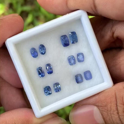 Blue Sapphire Heated Only 6 Pairs 4.6 Ct Natural Loose Gemstones For Earrings