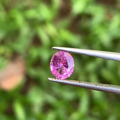 Pink Sapphire Oval 0.87 Ct Natural Loose Gemstone For Jewelry Making