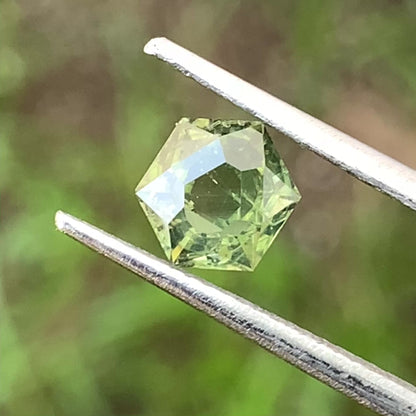 Mint Green Zircon Portrait Cut Hexagon 1.4 Ct Natural Loose Gemstone