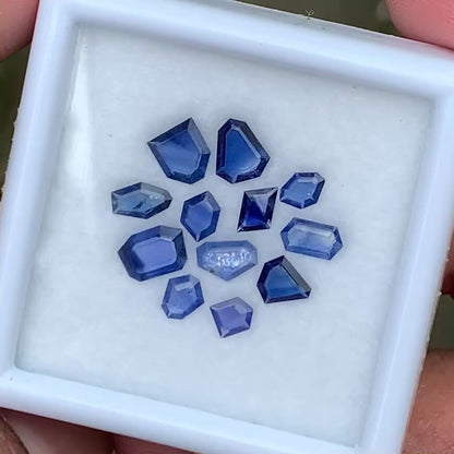 Blue Sapphire Portrait Cut Geometric Shape Tablets Natural Heated Only Loose Gemstone Parcel 3.08 Ct / 12 Gemstones From Sri Lanka