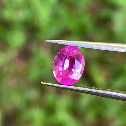 Pink Sapphire Oval Heated Only 1.10 Ct Natural Loose Gemstone for Jewelry Making