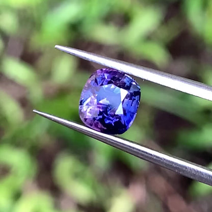Purple Bicolor Sapphire Rectangular Cushion Heated Only 1.64 Ct Natural Loose Gemstone For Jewelry Making 💎✨