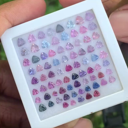 Unheated Sapphire Trillions Multicolor Loose Gem Parcel of 14.31 Ct / 78 Natural Gemstones