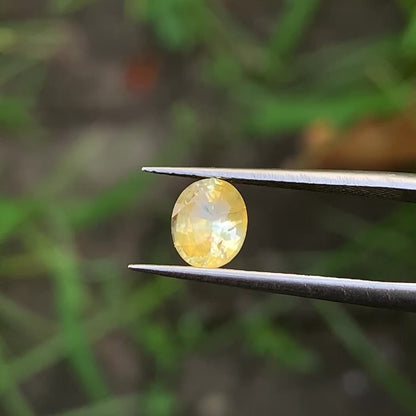 Yellow Sapphire Oval 1.32 Ct Natural Loose Gemstone For Jewelry Making