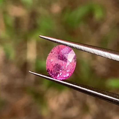 Unheated Padparadscha Sapphire Oval 1.45 Ct Natural Loose Gemstone